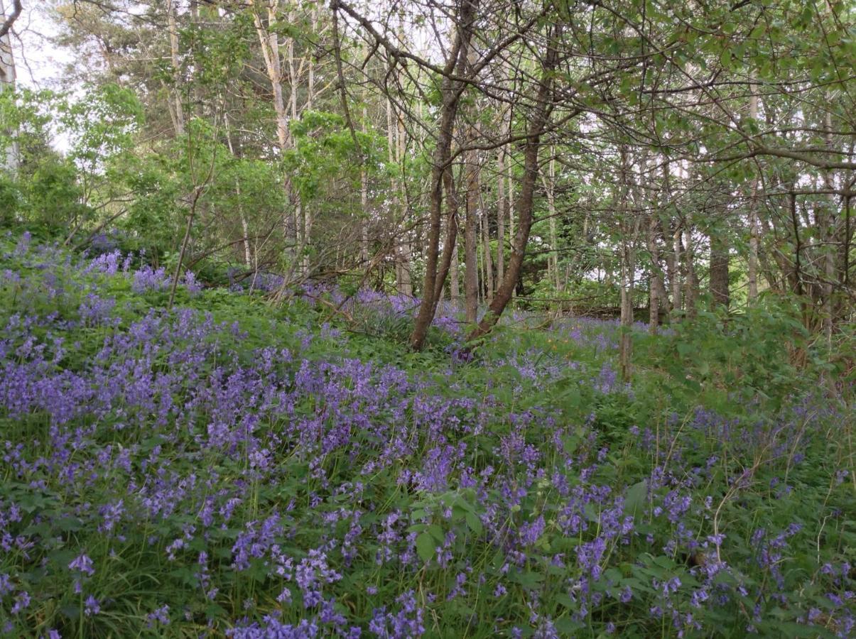 Dower House Newtonmore B&B Luaran gambar